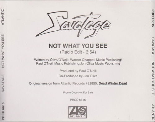 Savatage : Not What You See